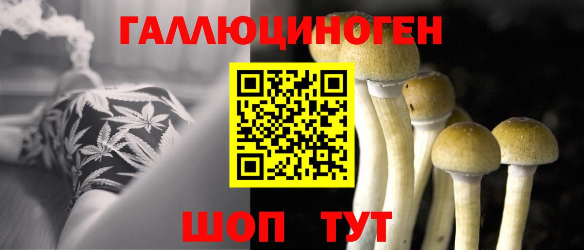 Галлюциногенные грибы GOLDEN TEACHER Советск